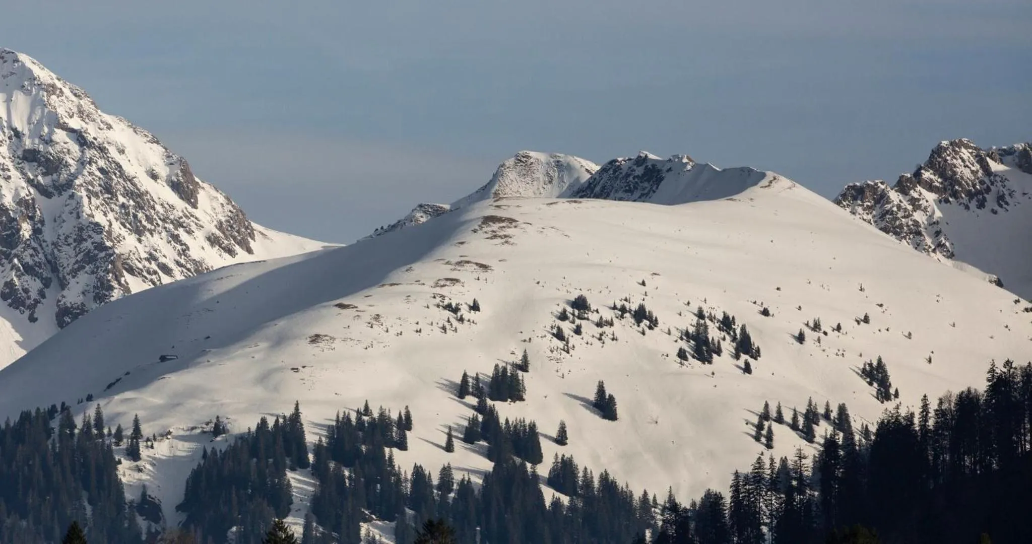 Day in Biohotel Schwanen