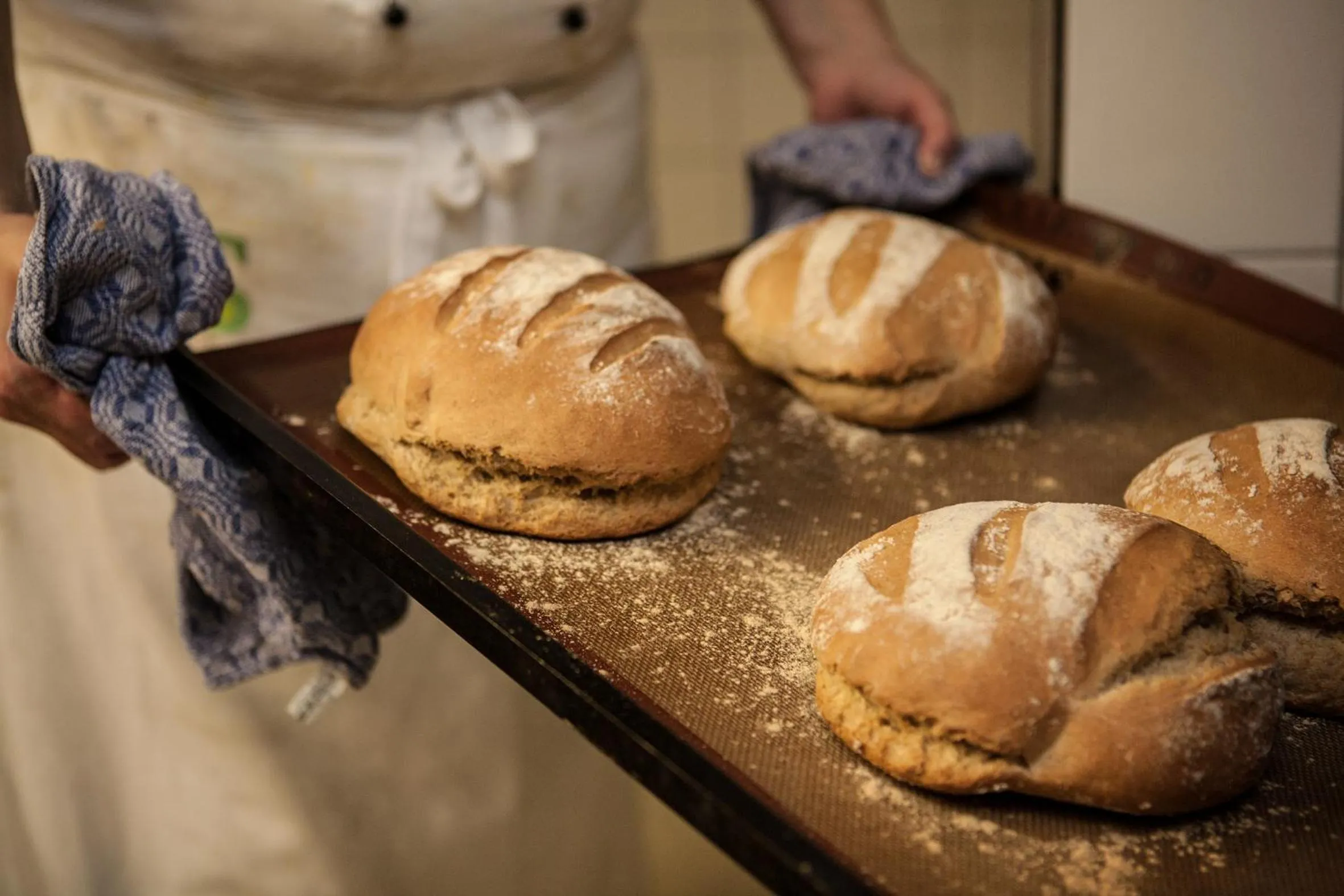Breakfast in Biohotel Schwanen