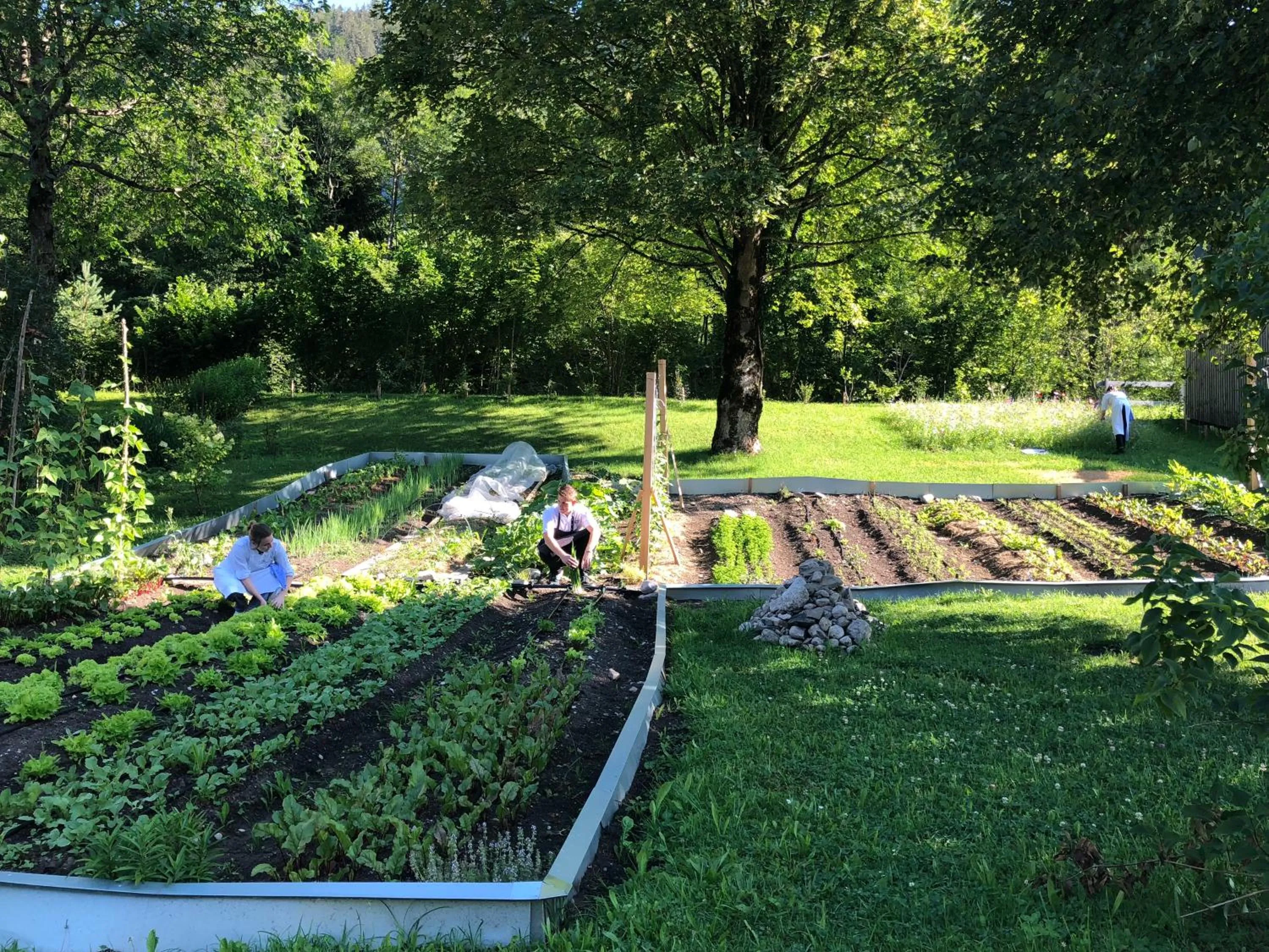 Garden in Biohotel Schwanen
