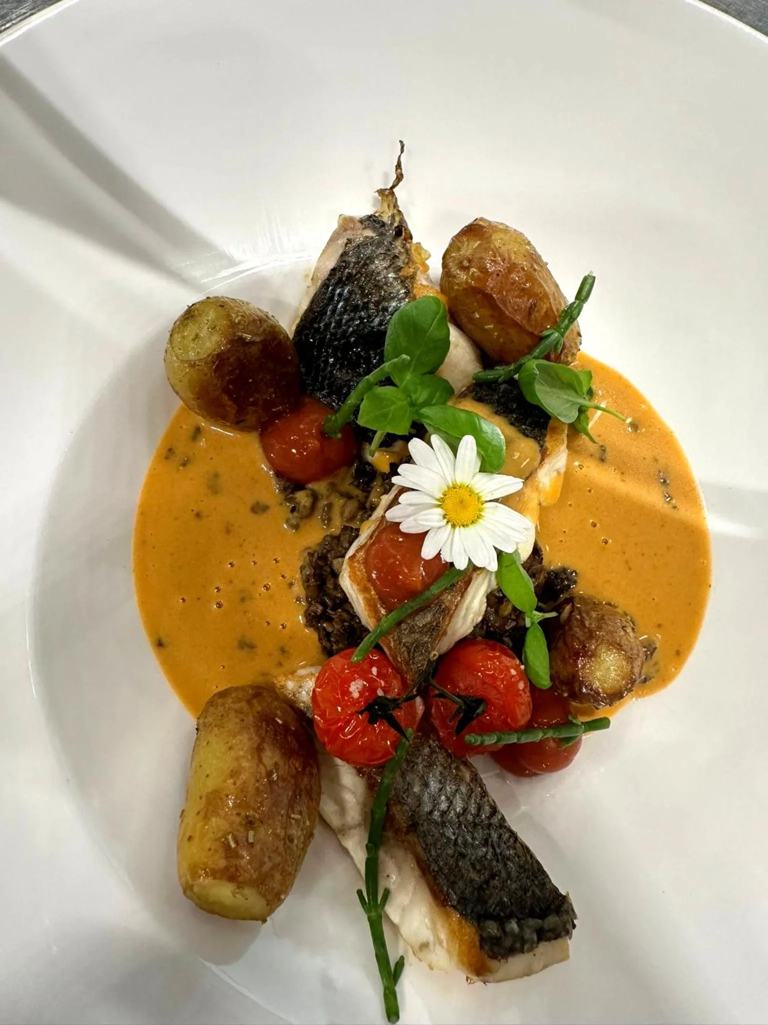 Restaurant/places to eat in B&B Herenhuis