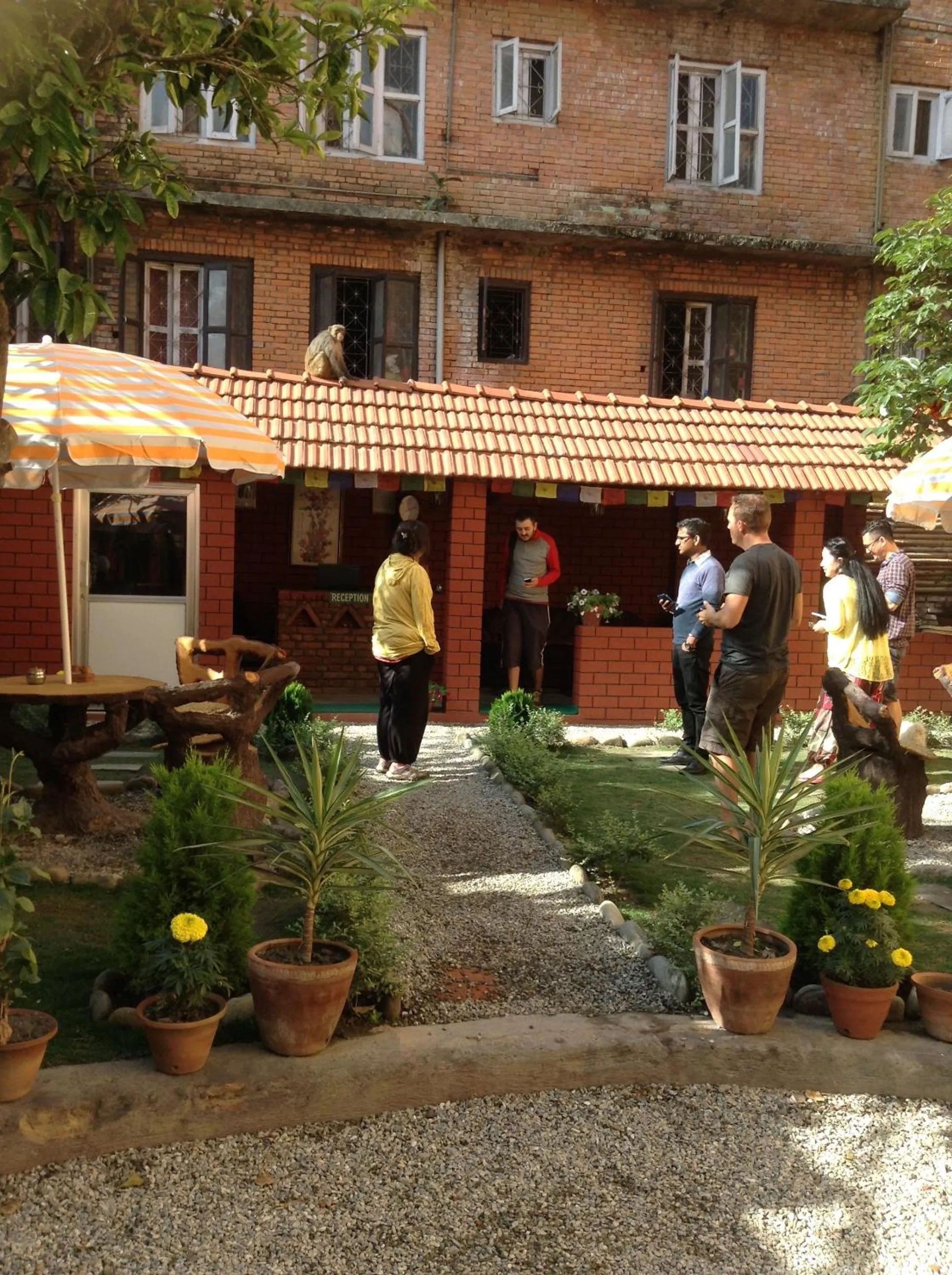 Garden in Andes House