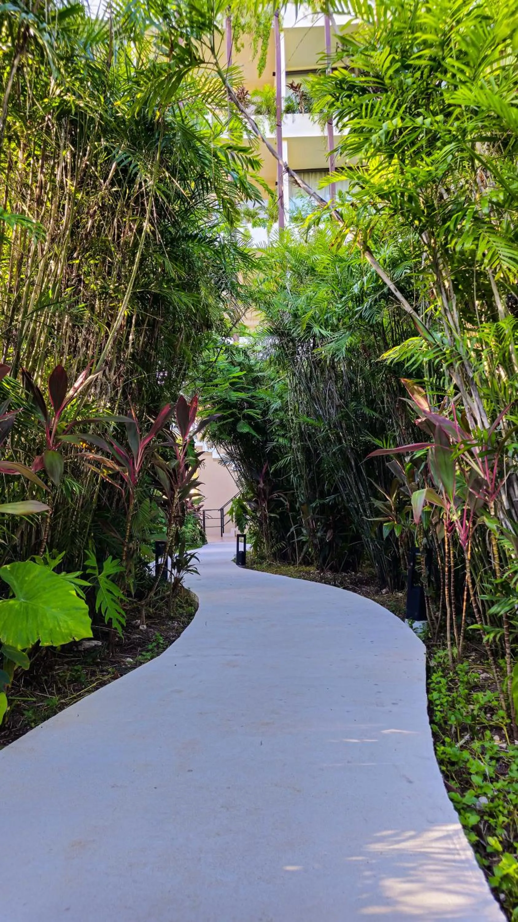 Natural landscape in Luxury Apartment at Mistiq Temple I Tulum