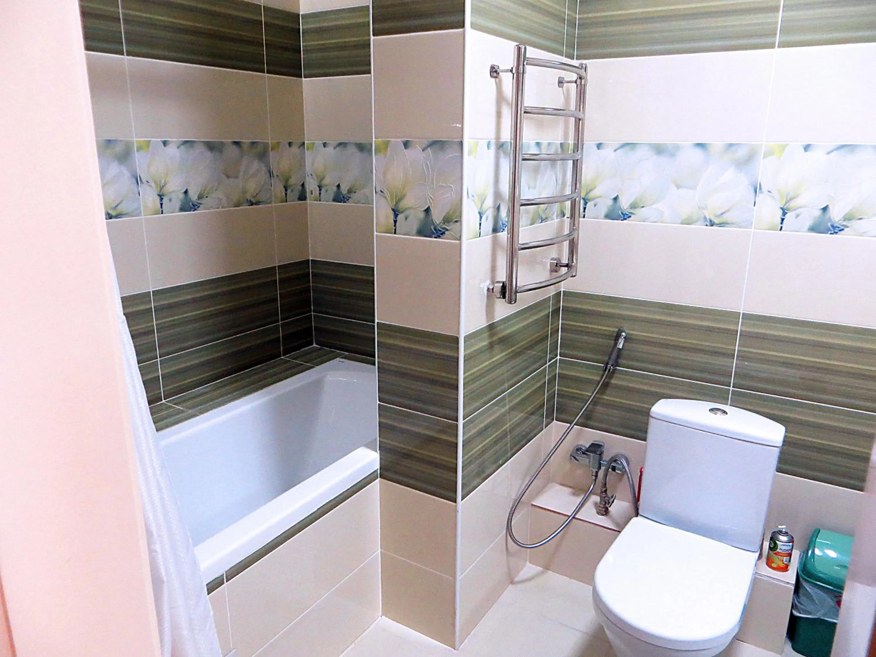 Bathroom in Bishkek House Apartament 2