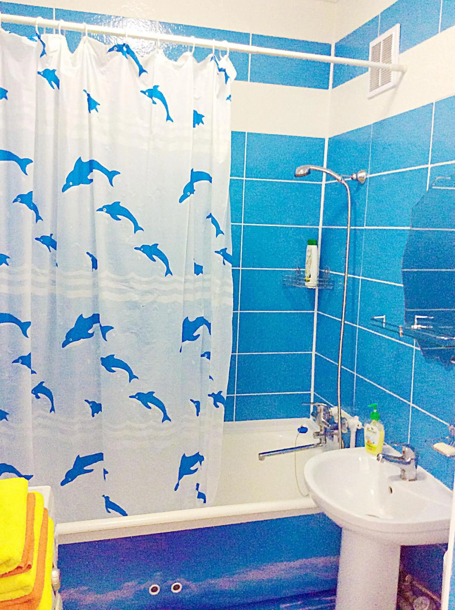 Bathroom in Bishkek House Apartament 2