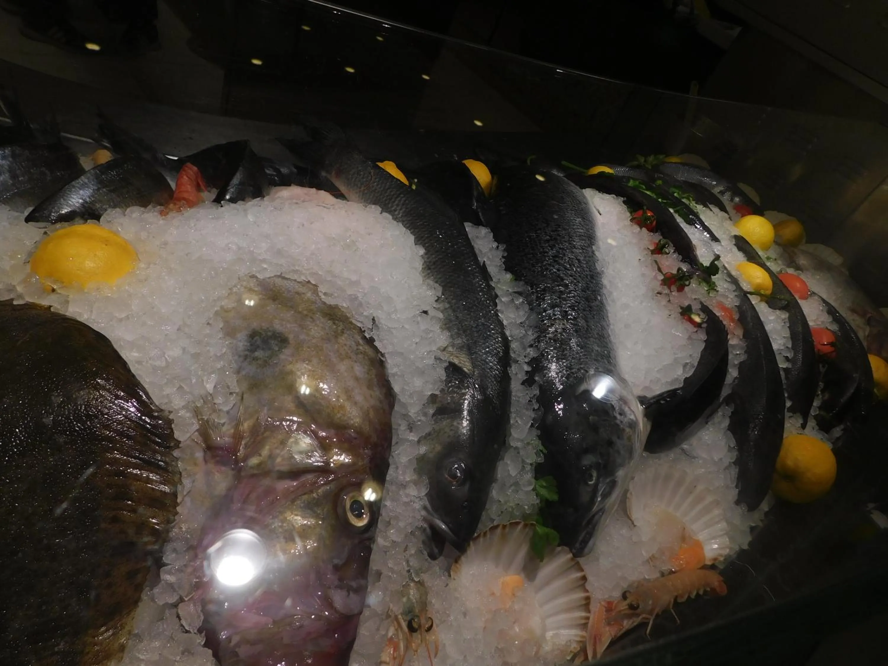 Palace Hotel & SPA La CONCHIGLIA D' ORO