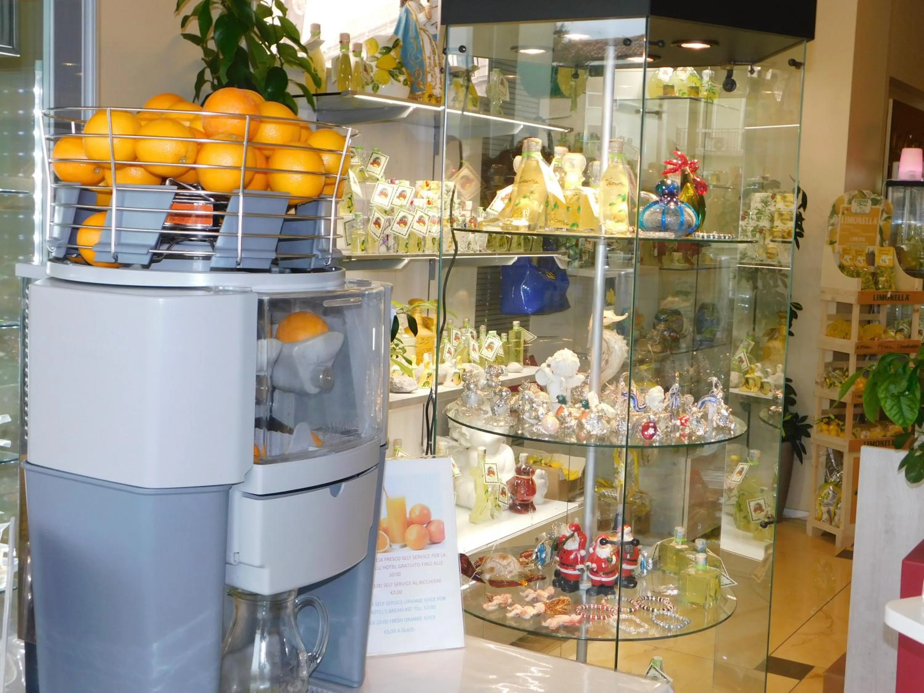 Palace Hotel & SPA La CONCHIGLIA D' ORO