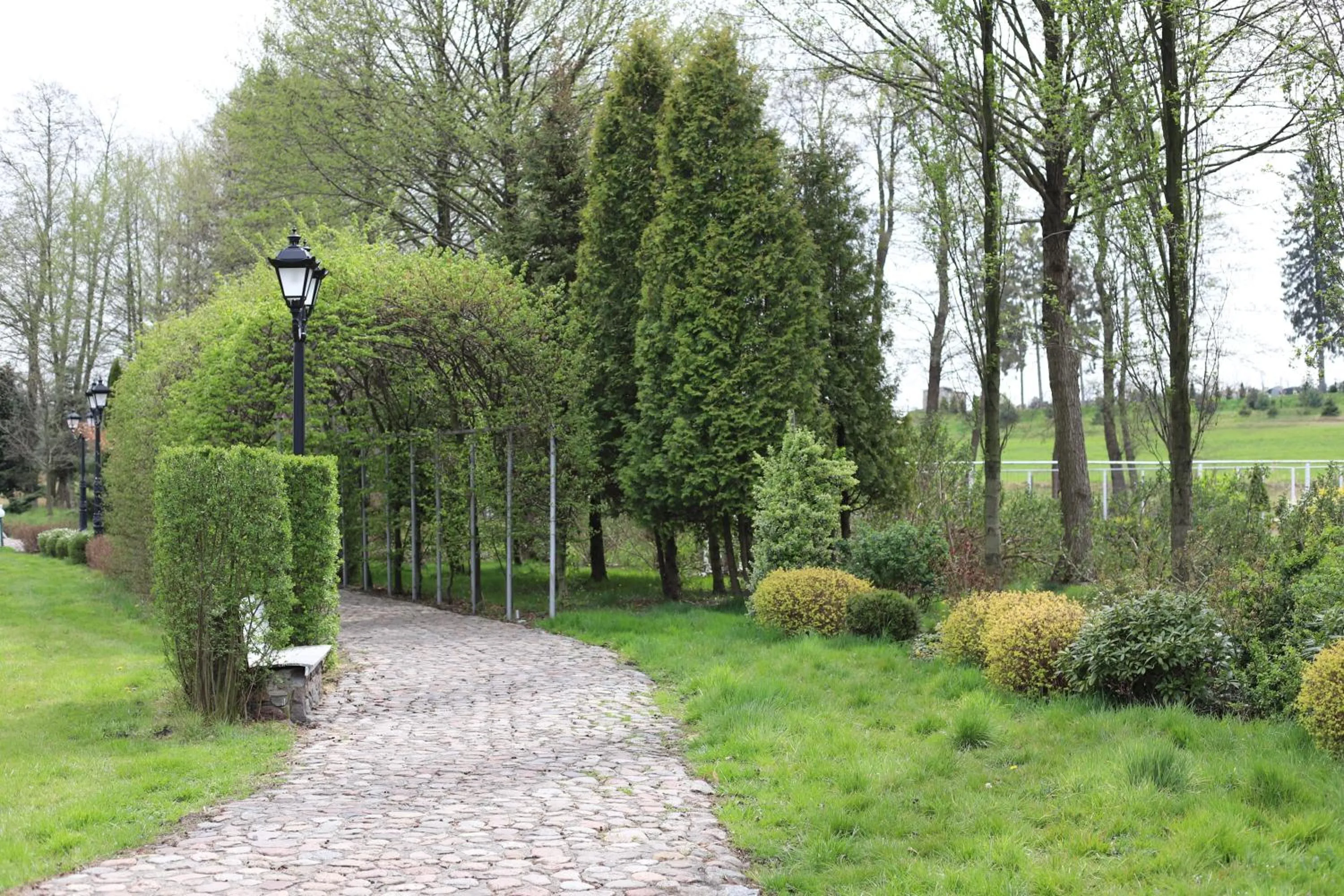 Spring in Hotel Toscania