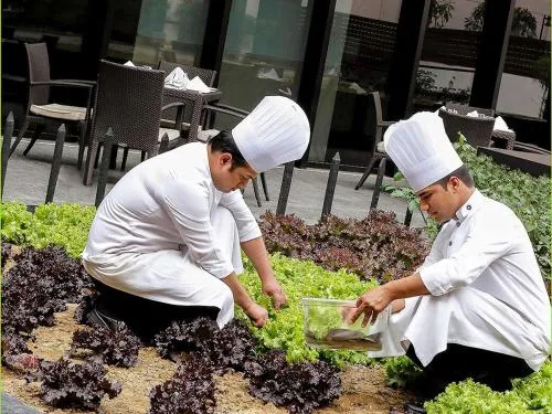 Pullman New Delhi Aerocity