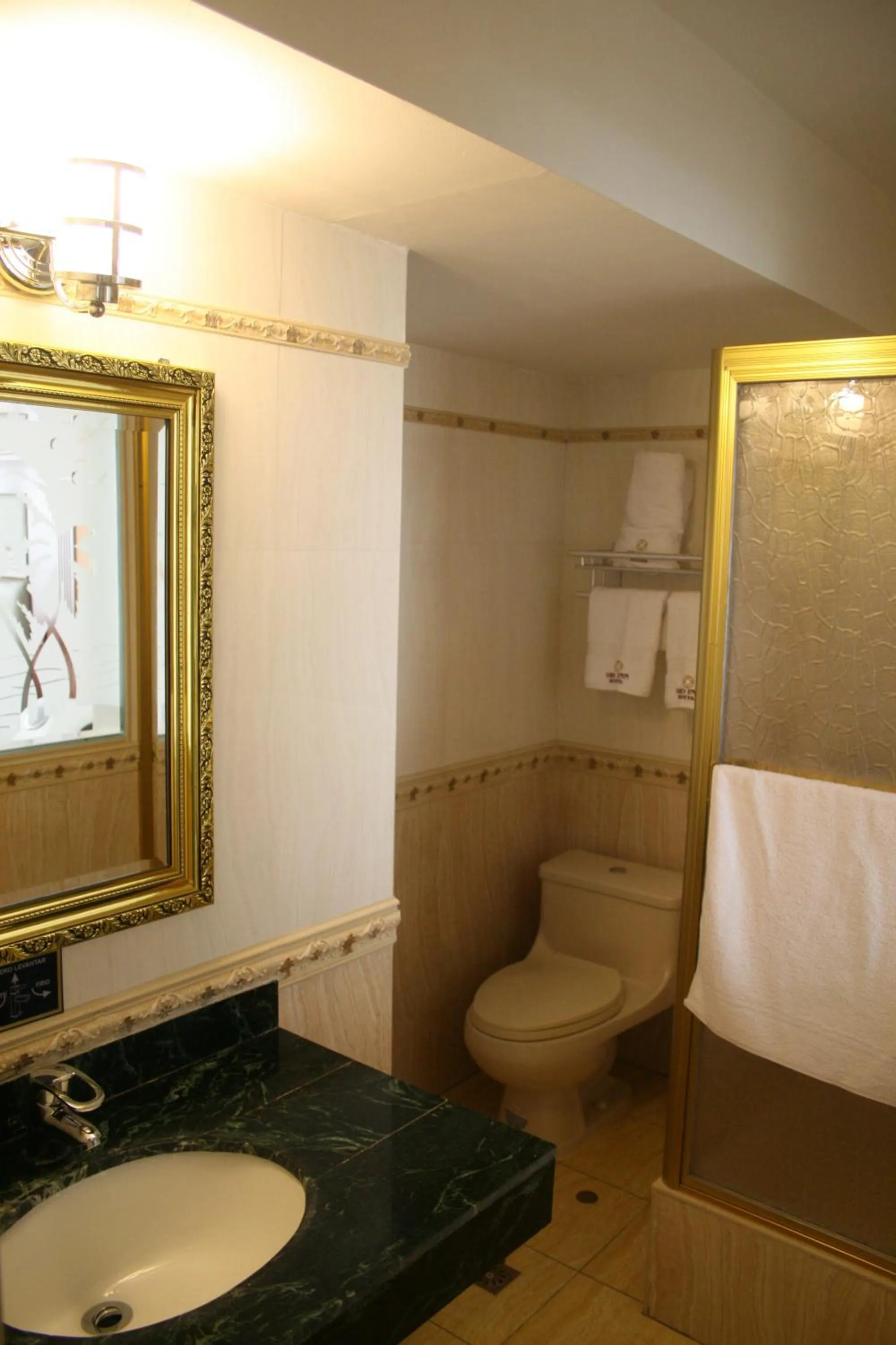 Toilet in Hotel Oro Inn