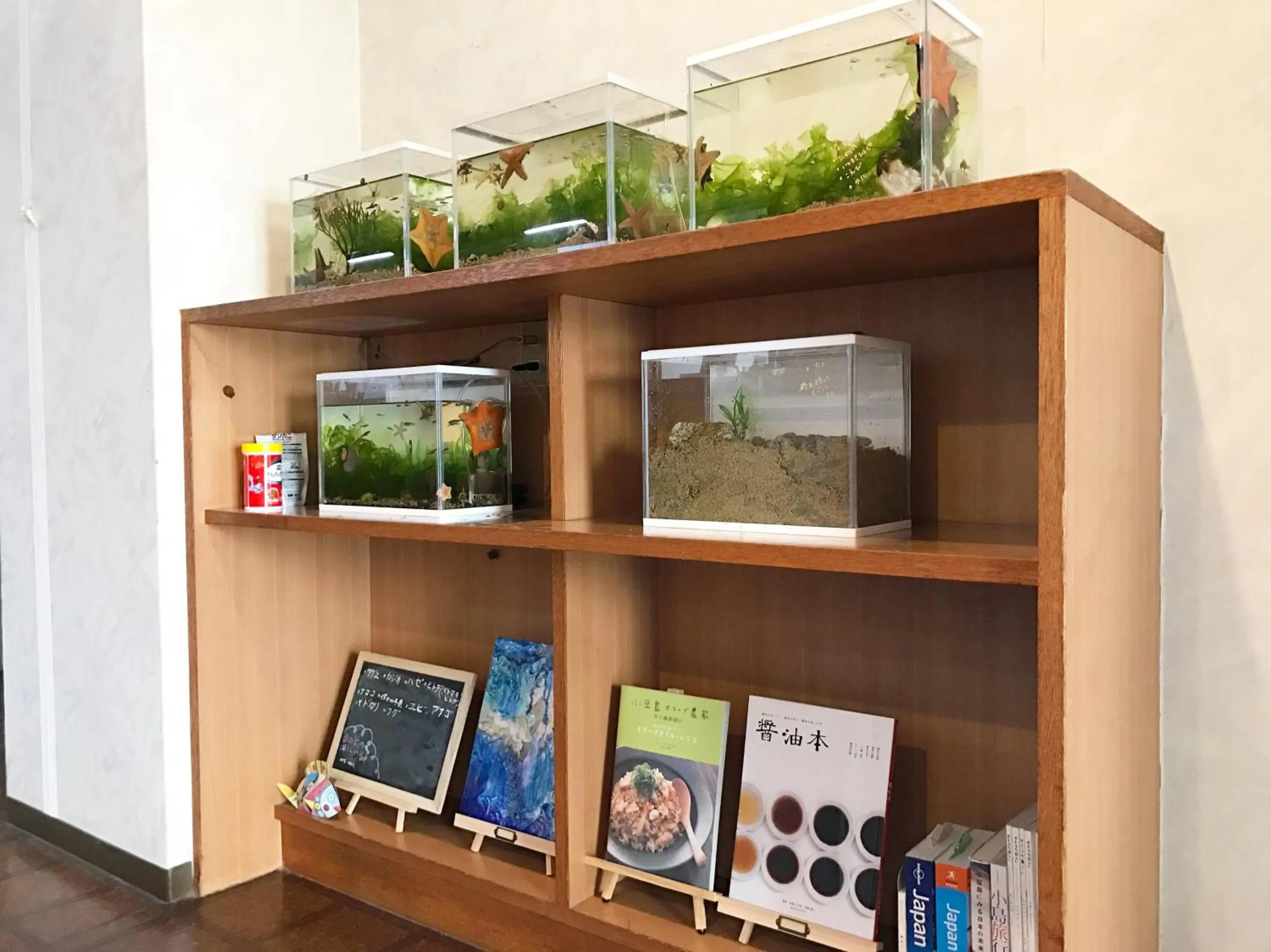 Lobby or reception in Shodoshima Olive Youth Hostel