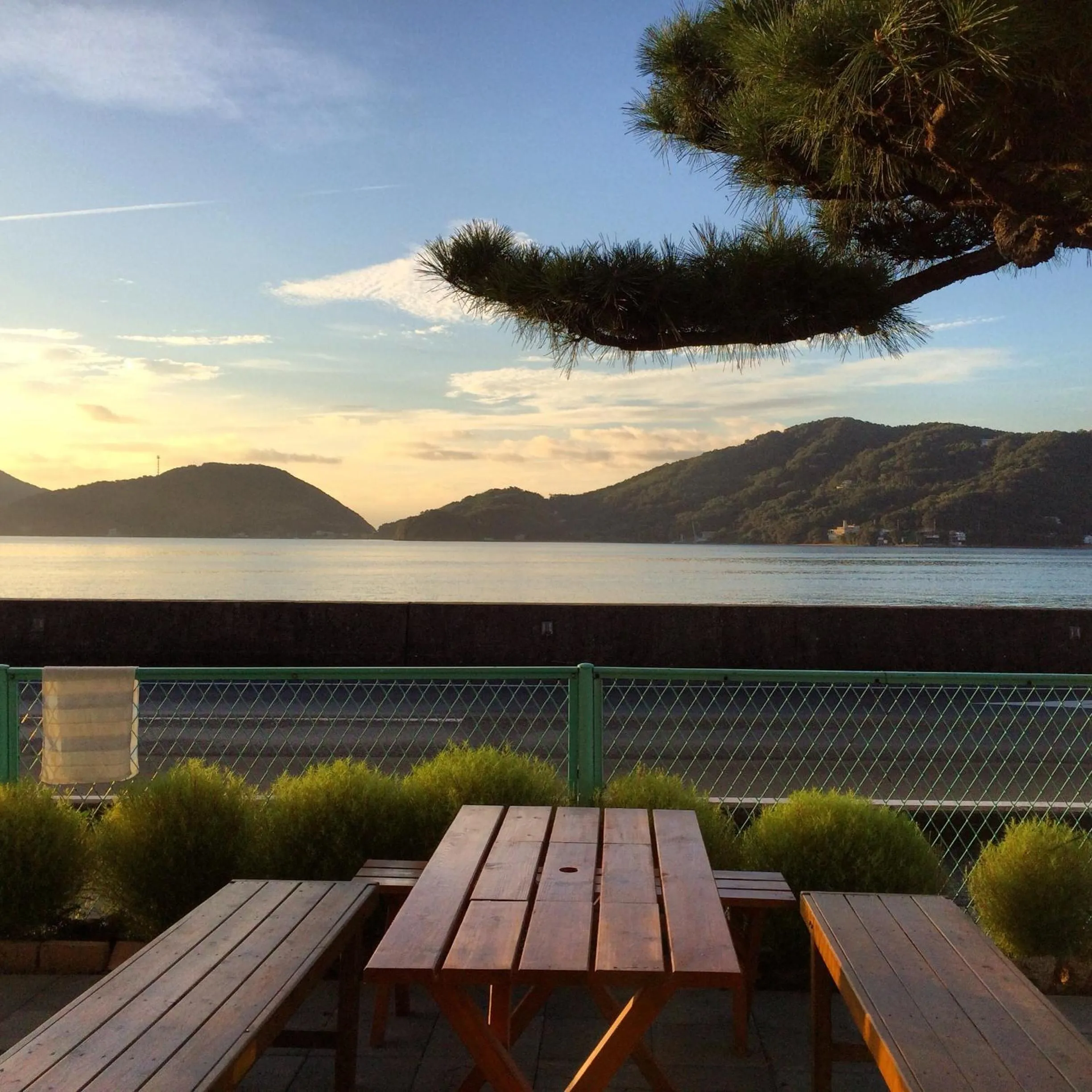 Garden in Shodoshima Olive Youth Hostel