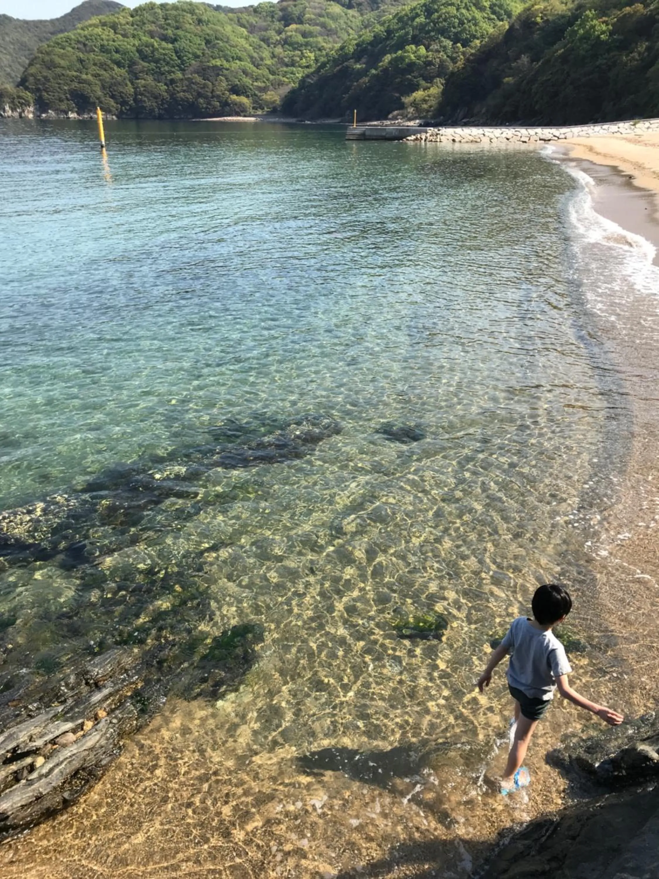 Spring in Shodoshima Olive Youth Hostel