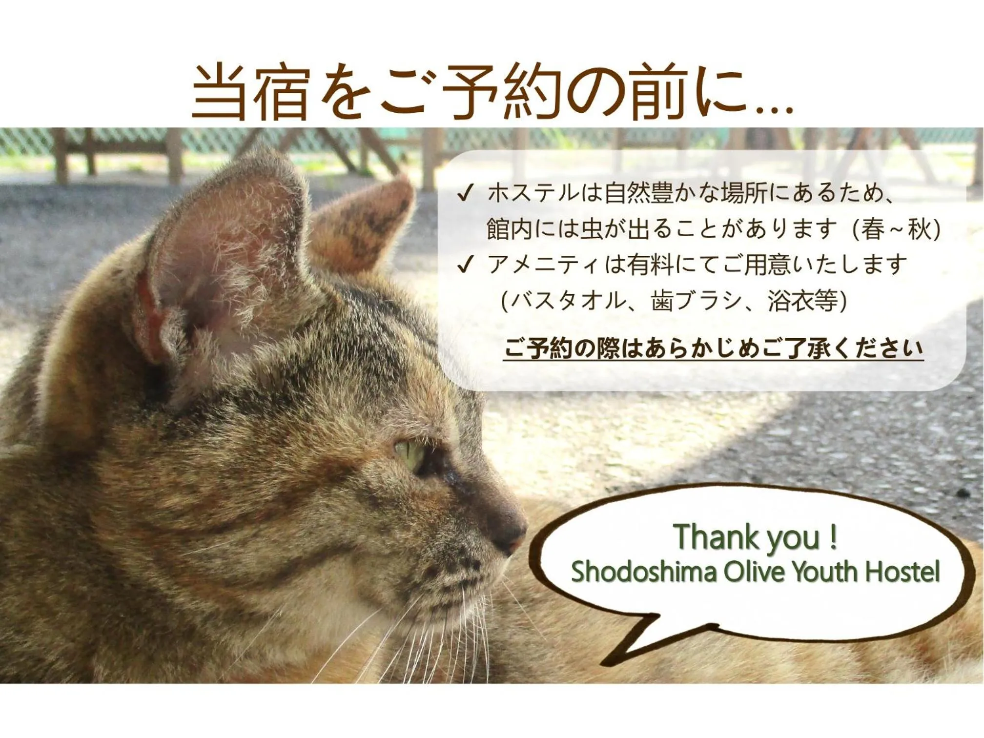 Facade/entrance in Shodoshima Olive Youth Hostel