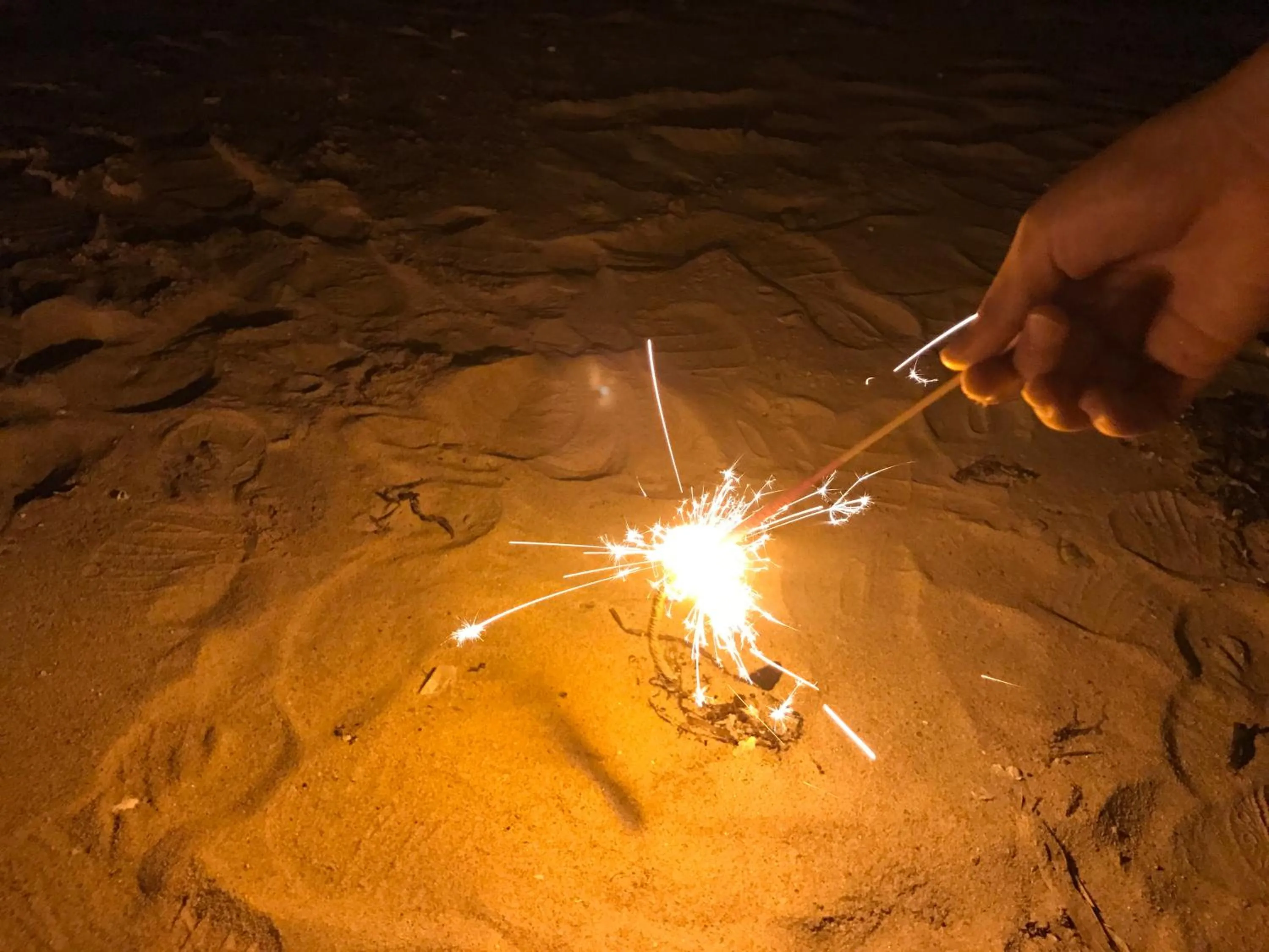 Summer in Shodoshima Olive Youth Hostel