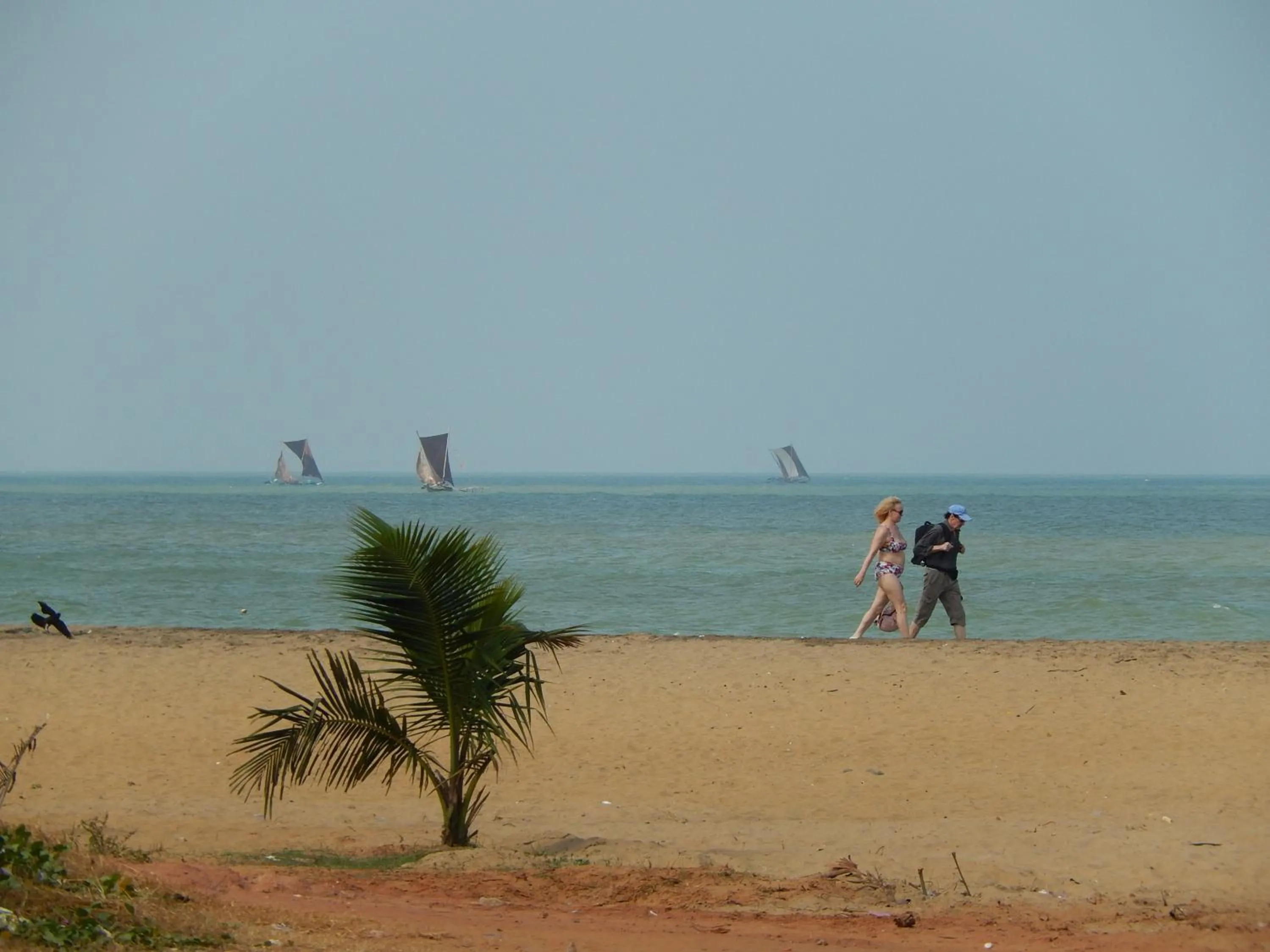 Beach in Janishi Residencies