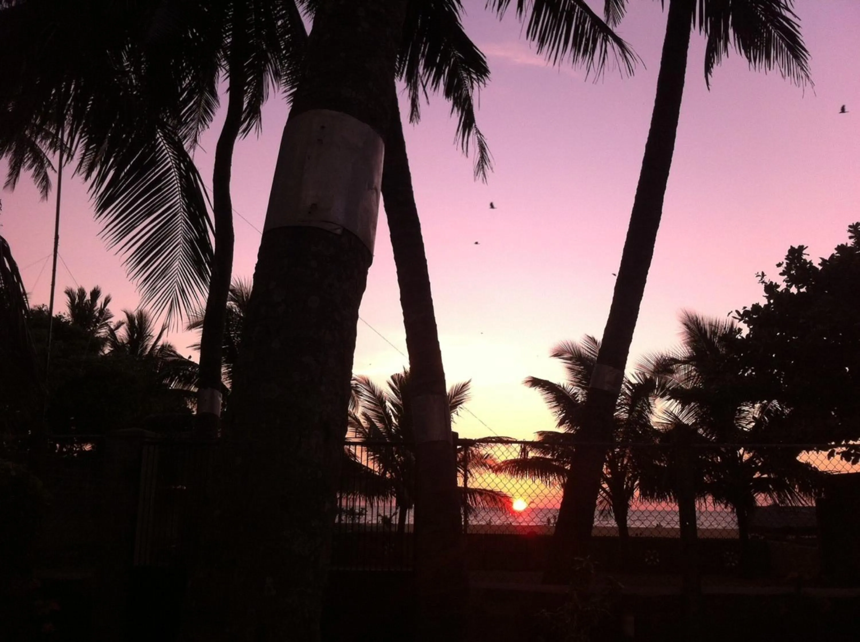 Decorative detail in Janishi Residencies