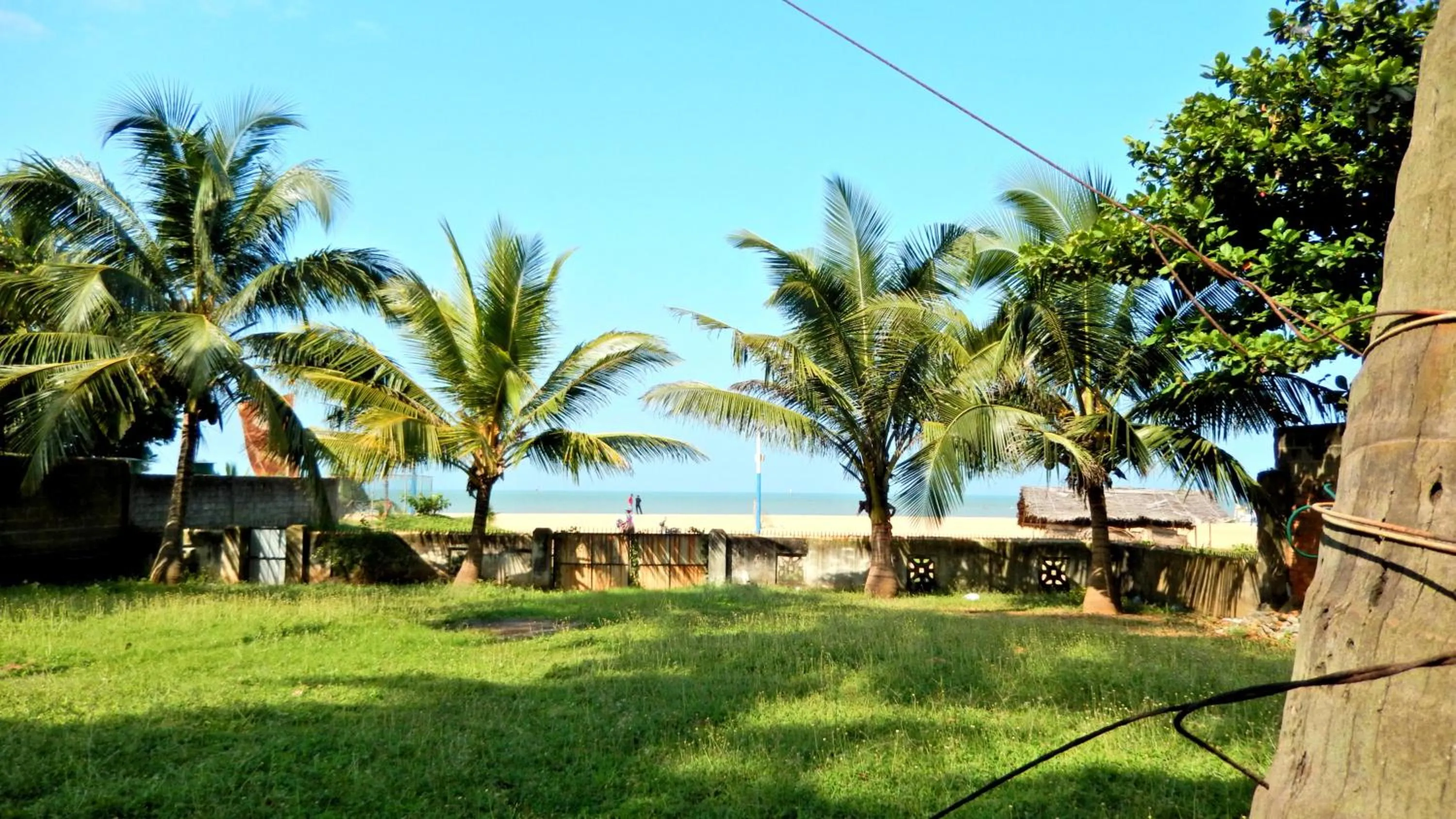 Garden in Janishi Residencies