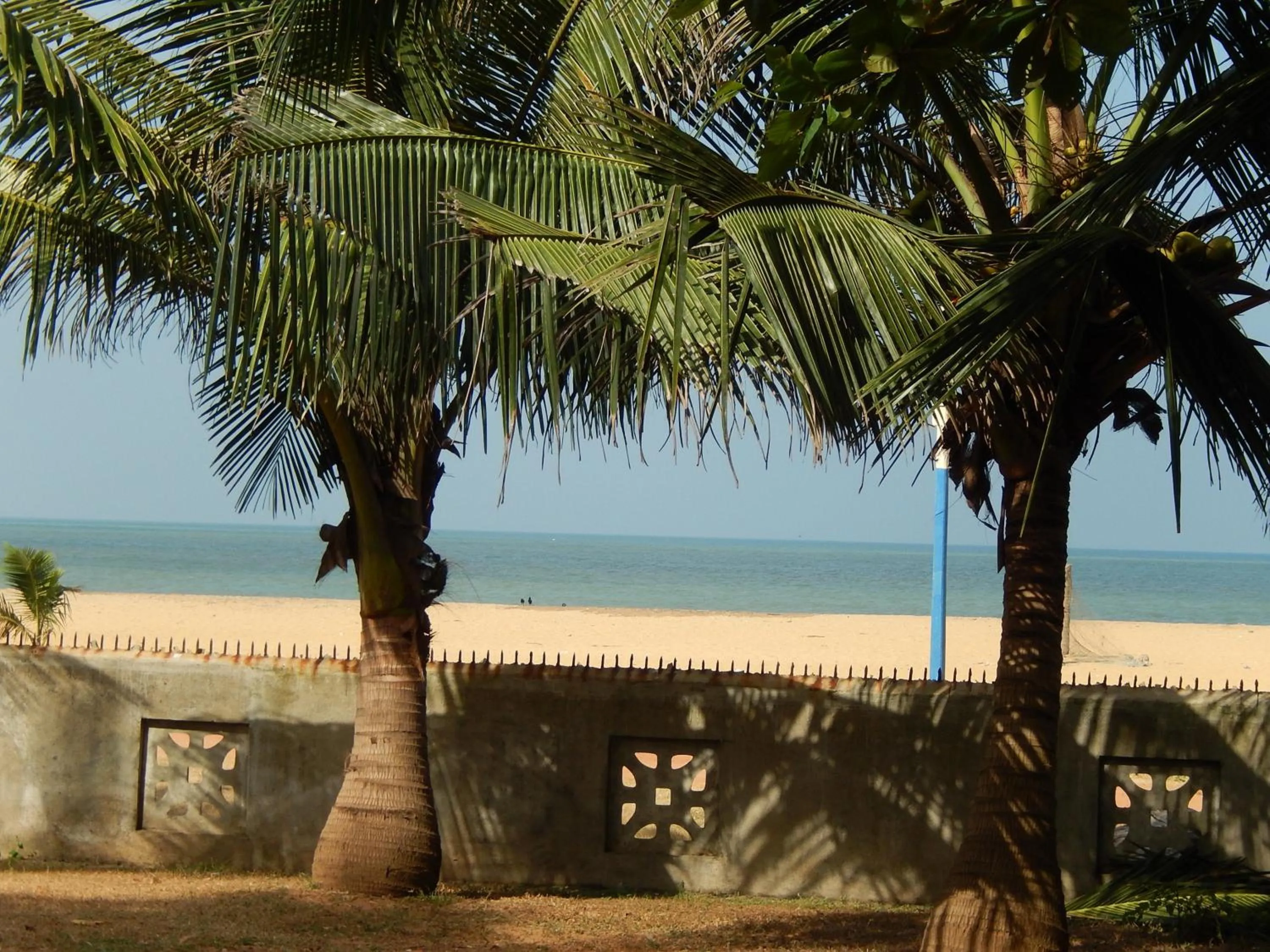 View (from property/room) in Janishi Residencies