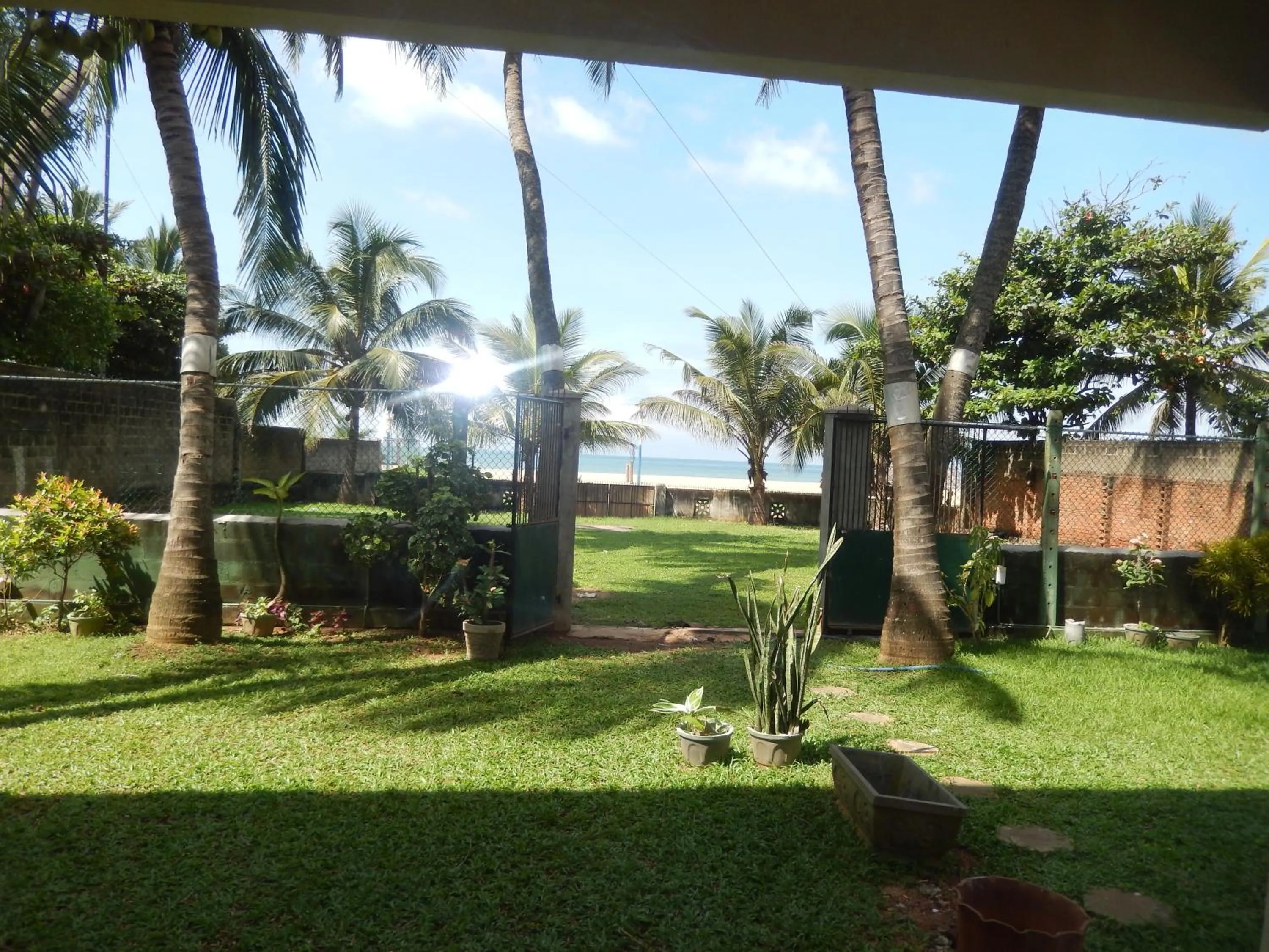 Garden in Janishi Residencies