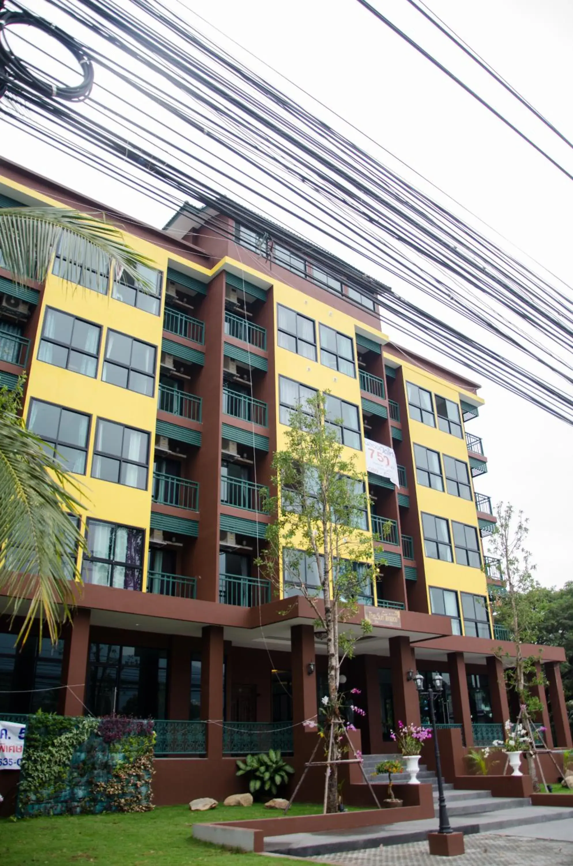 Facade/entrance in The Sun Terrace Facade/entrance in The Sun Terrace