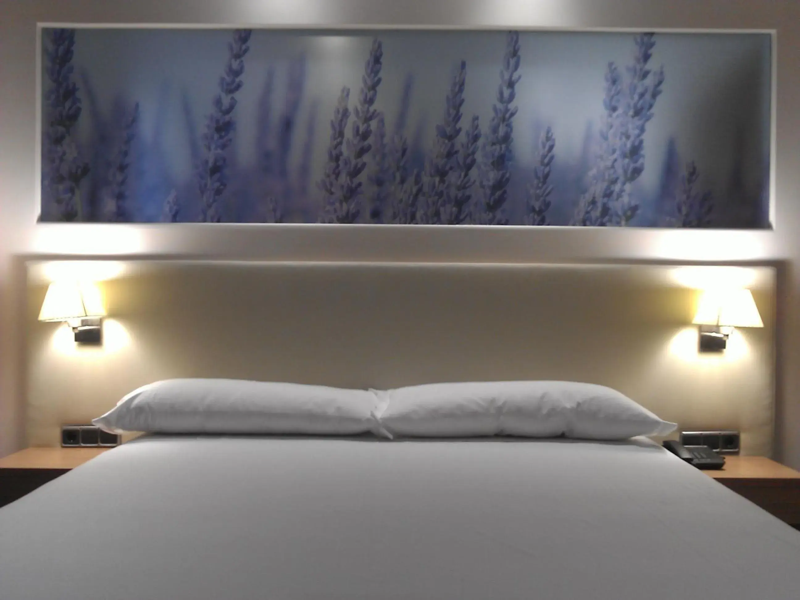 Superior Double or Twin Room in Hotel Balneario El Raposo Superior Double or Twin Room in Hotel Balneario El Raposo