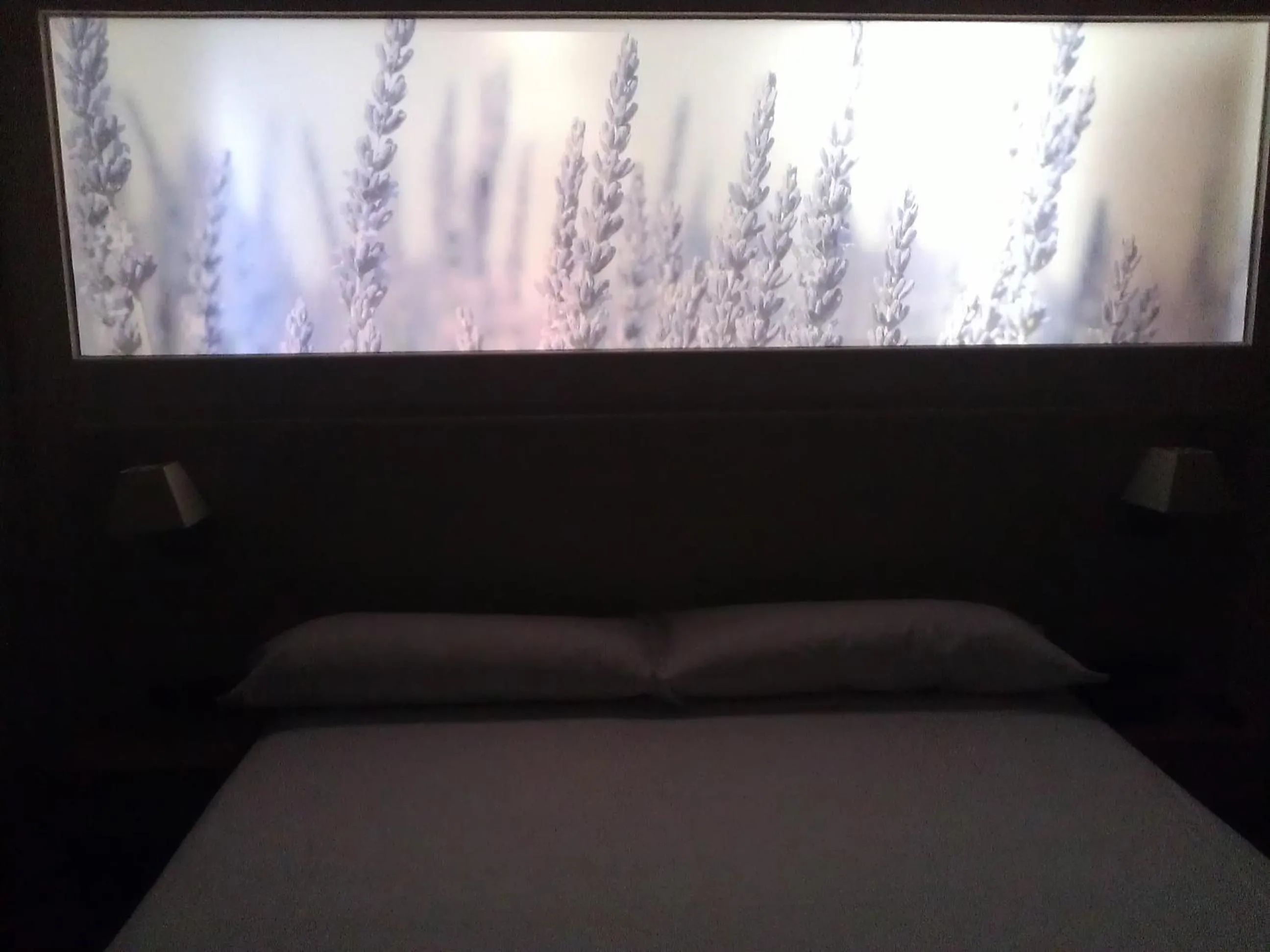 Decorative detail in Hotel Balneario El Raposo