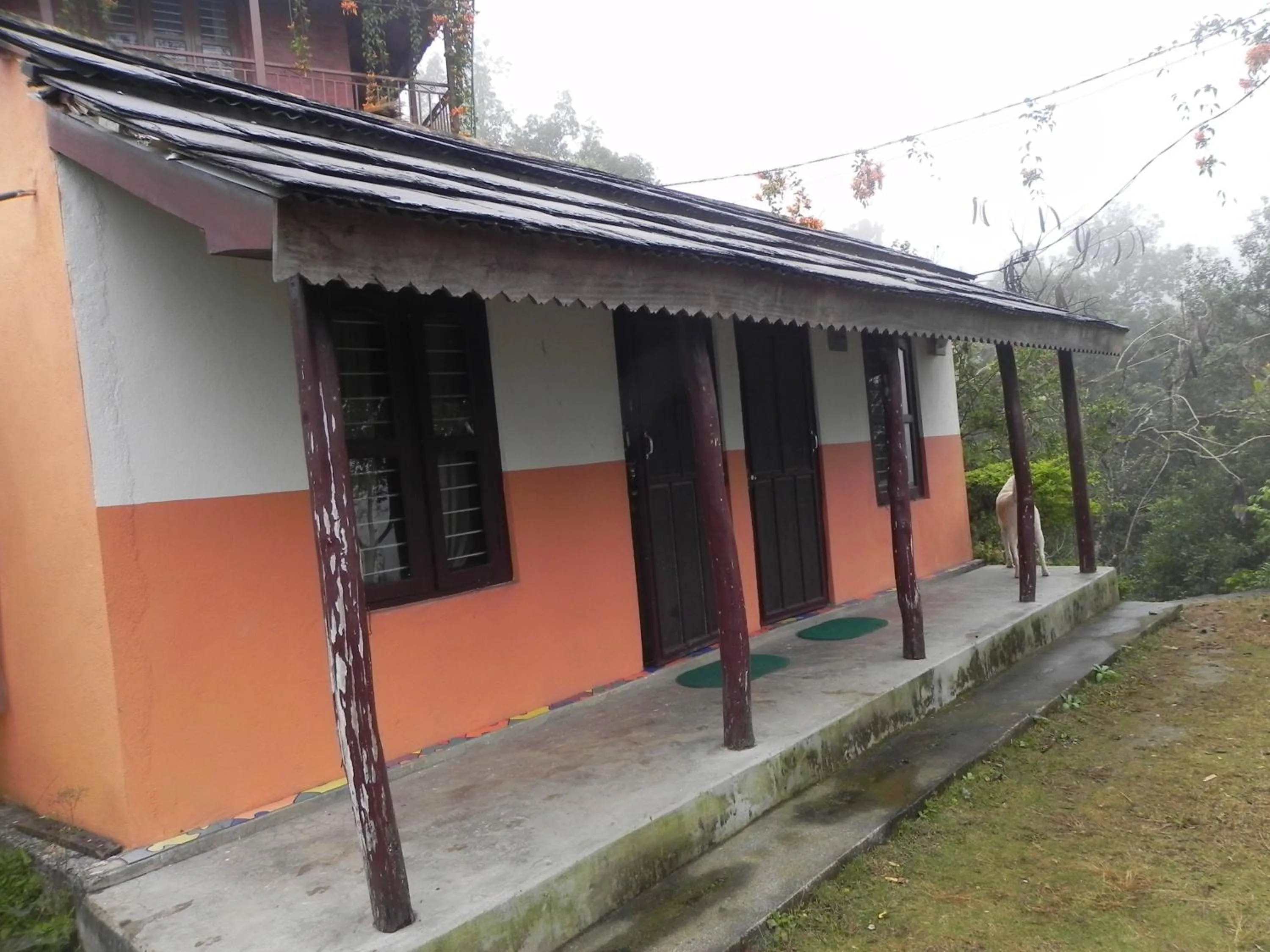Dining area in Rupa View Guest house