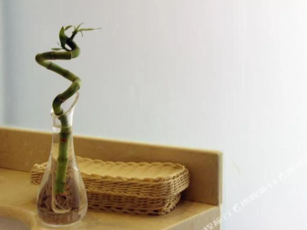 GreenTree Alliance Beijing Tiantan DonGMEn Hotel