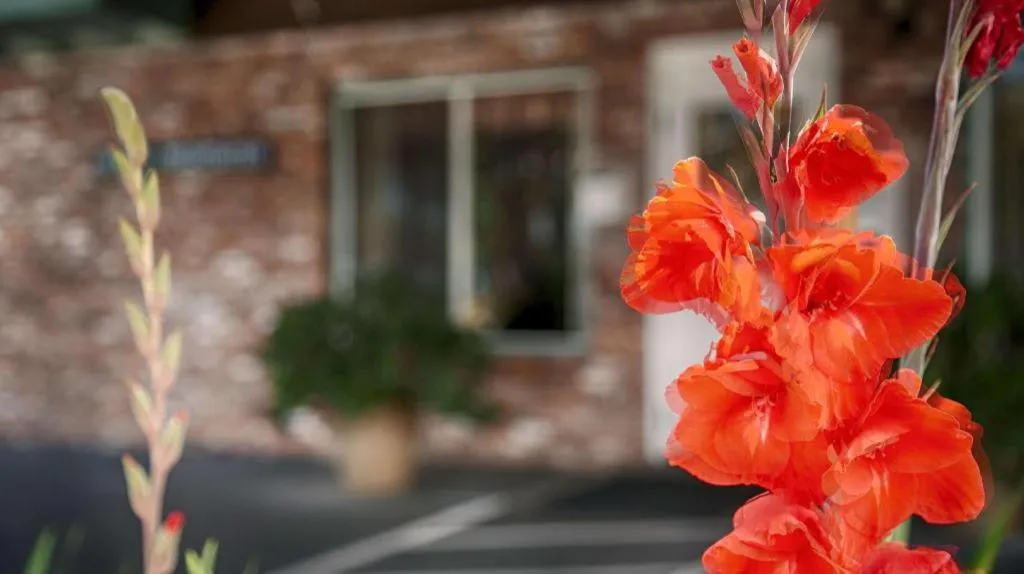 Best Western Vista Manor Lodge