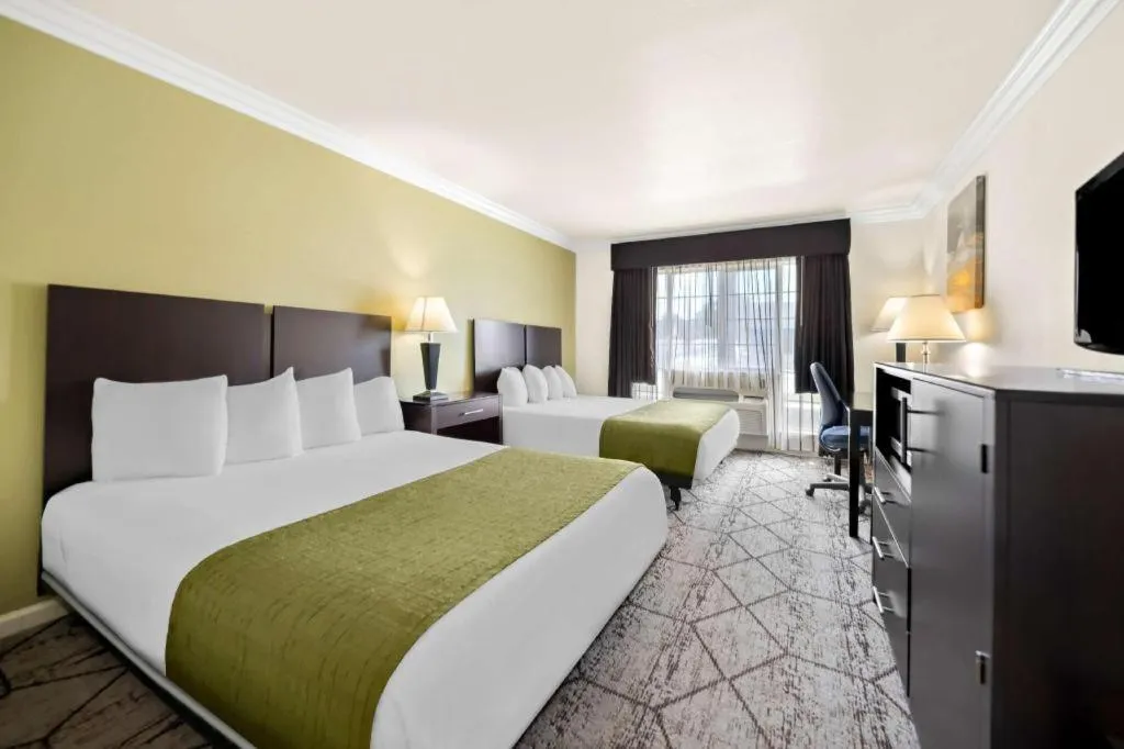 Bed in Best Western Executive Inn