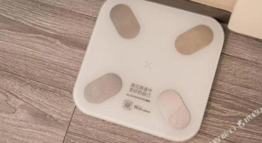 Ibis Shanghai Expo Dongming Road Metro Station