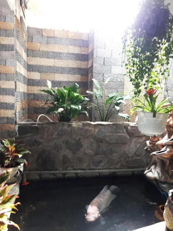 Quang Sang Hotel Can Tho