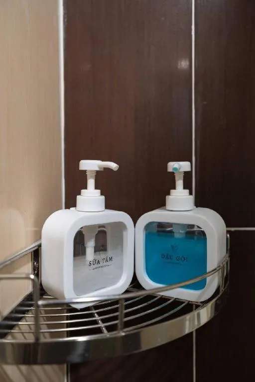 Tuan Viet Hotel Dinh Tien Hoang