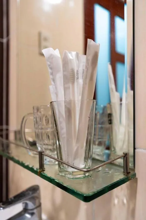 Tuan Viet Hotel Dinh Tien Hoang