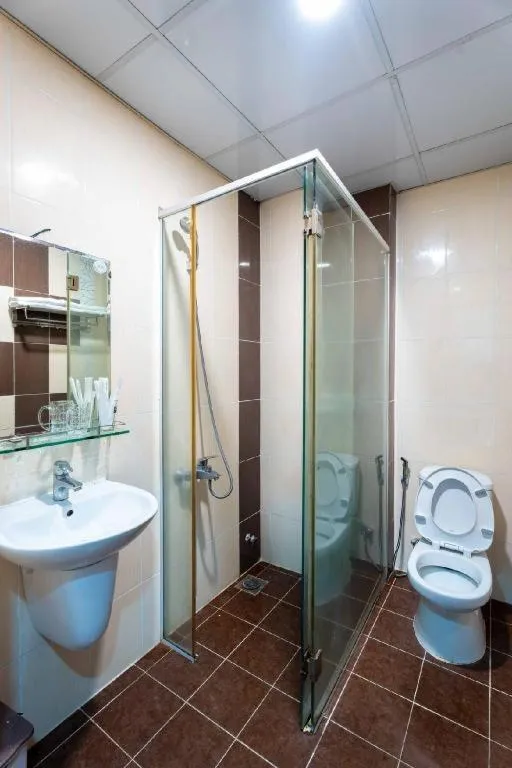 Tuan Viet Hotel Dinh Tien Hoang