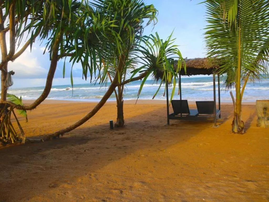 Whispering Palms Hotel