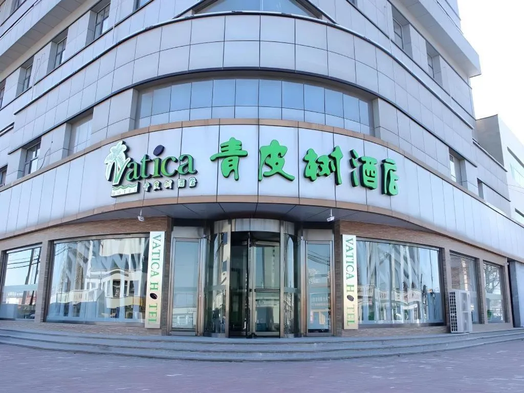 Vatica Tianjin Jinghai Bus Station Home World Plaza Hotel