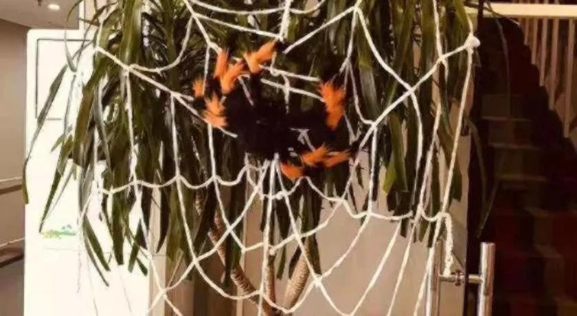 ibis Wuxi Jiangnan University