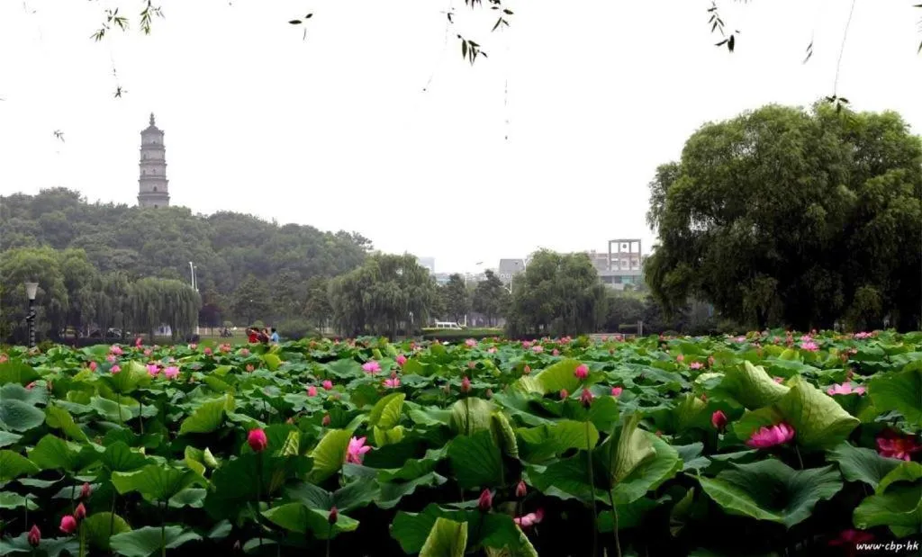 Dajiuhua Hotel