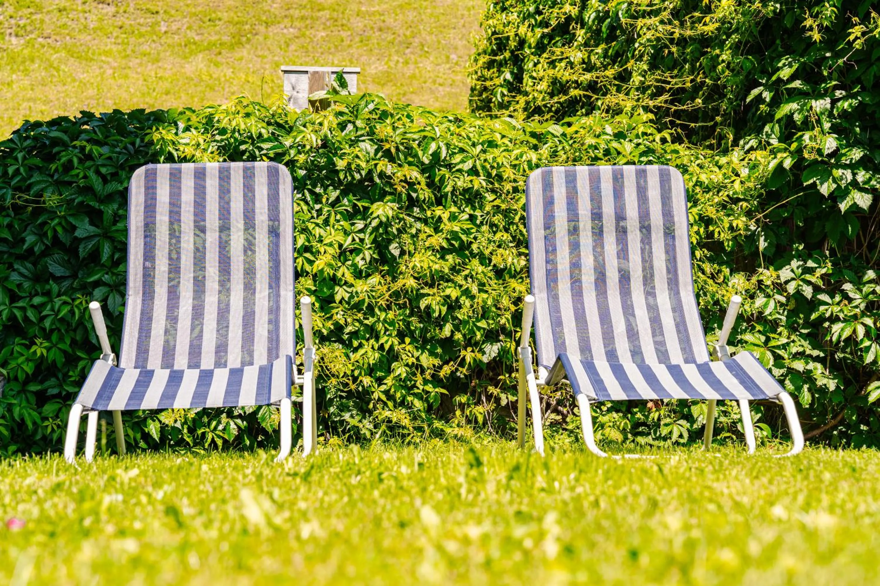 Garden in Pension Schlossberg