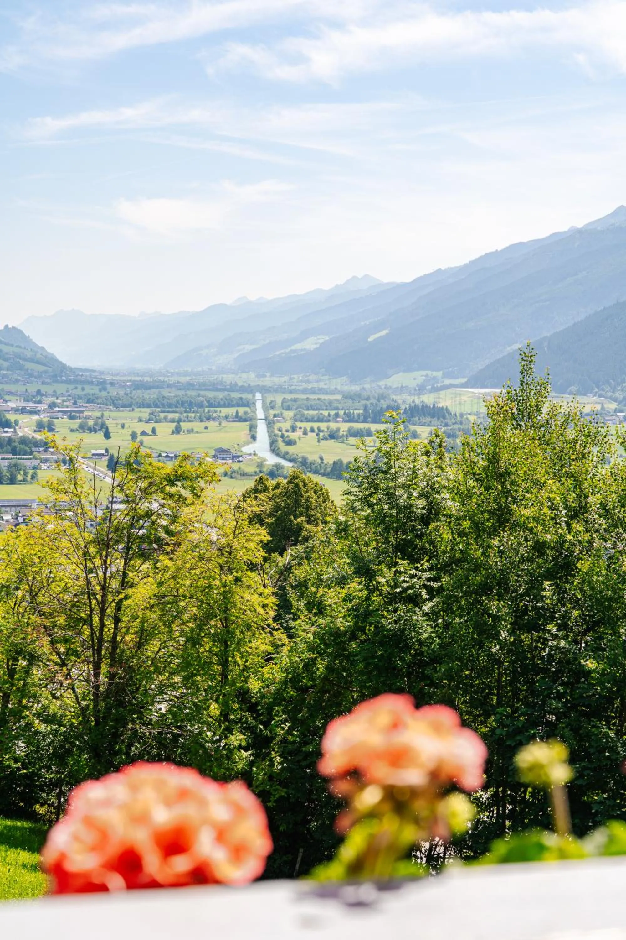 View (from property/room) in Pension Schlossberg