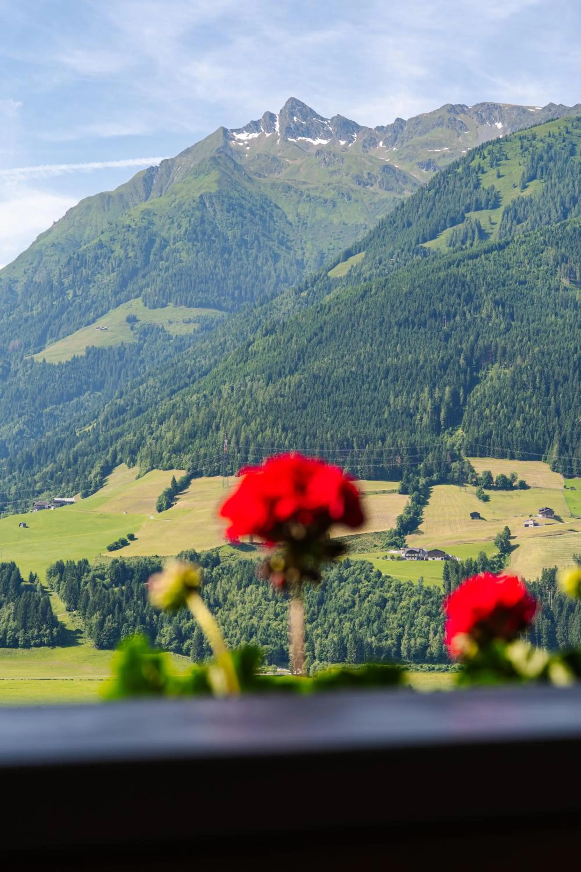 View (from property/room) in Pension Schlossberg