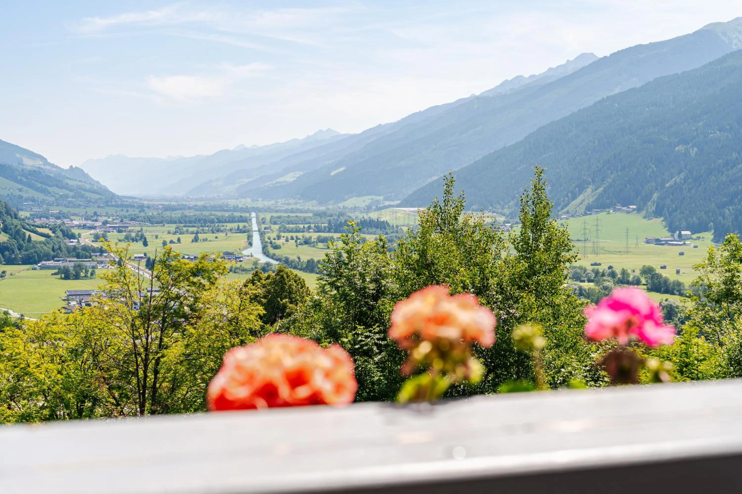 View (from property/room) in Pension Schlossberg