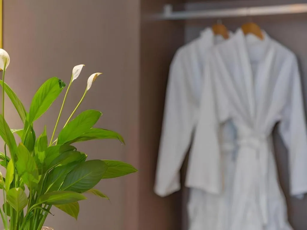 GreenTree Eastern Dali Railway Station Hotel