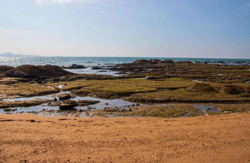 OYO 1066 Encore Sea Side