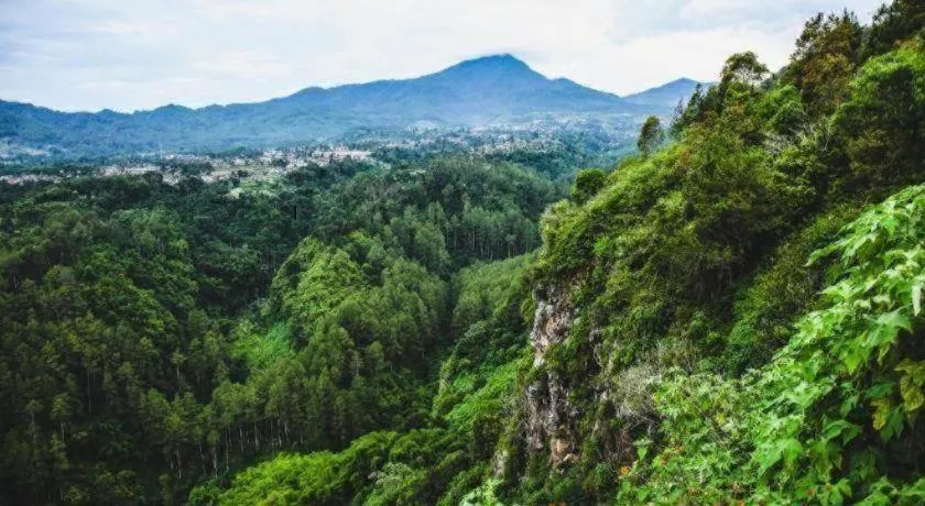 OYO Life 92630 Siliwangi Residence 63