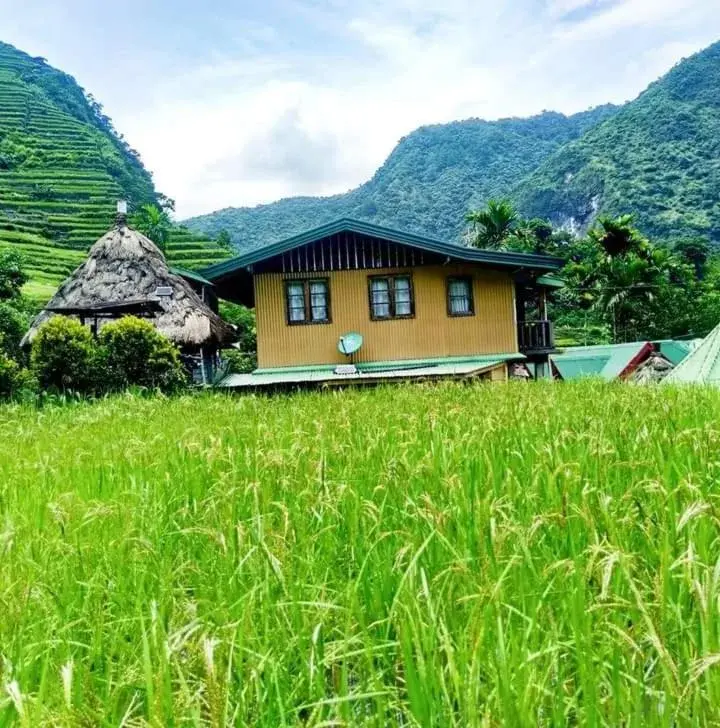 Batad Village Homestay & Restaurant Batad Village Homestay & Restaurant