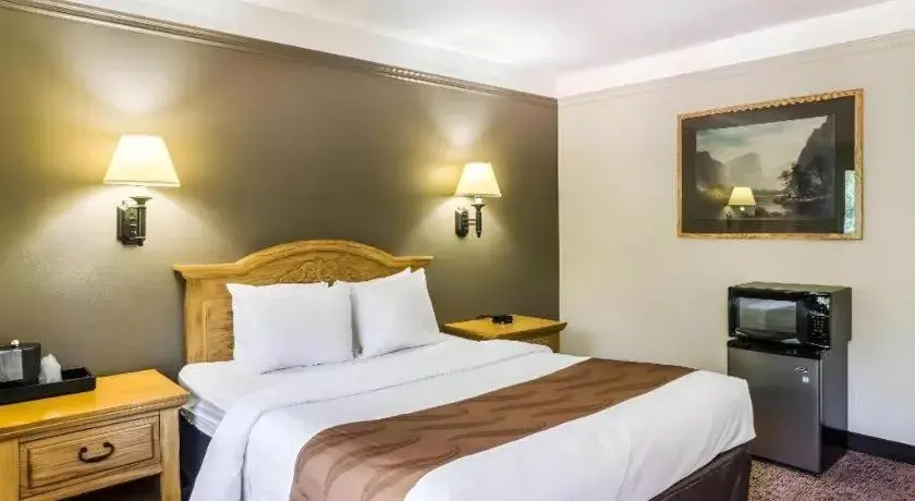 Bed in Quality Inn Bed in Quality Inn