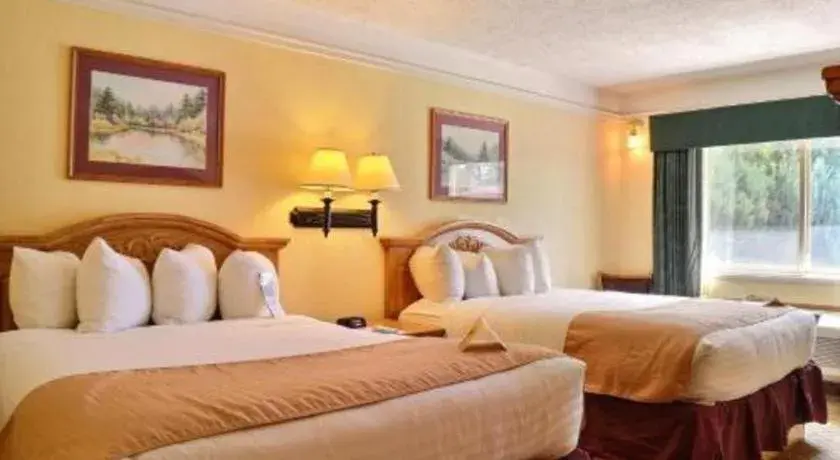 Bed in Quality Inn Bed in Quality Inn