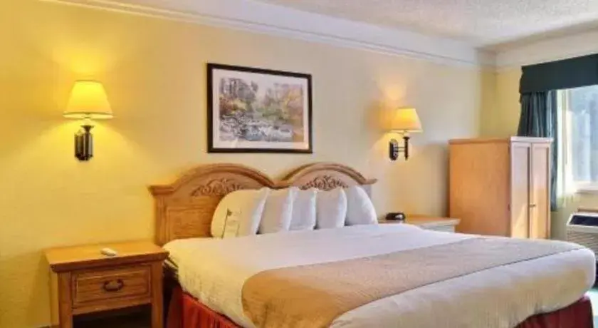 Bed in Quality Inn Bed in Quality Inn